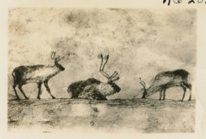 Image of Eskimo [Inughuit] drawing of caribou